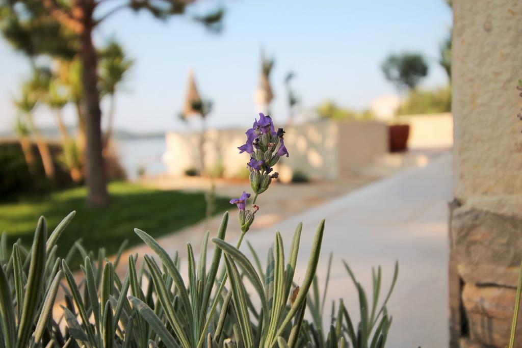 Apartments Marer Trogir Bagian luar foto